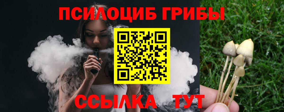 Псилоцибиновые грибы прущие грибы  Вход с VPN  Тверь  Галлюциногенные грибы мицелий 